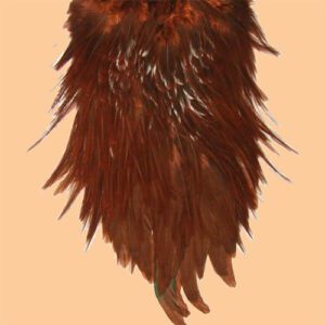 A brown beard with long feathers hanging from it.