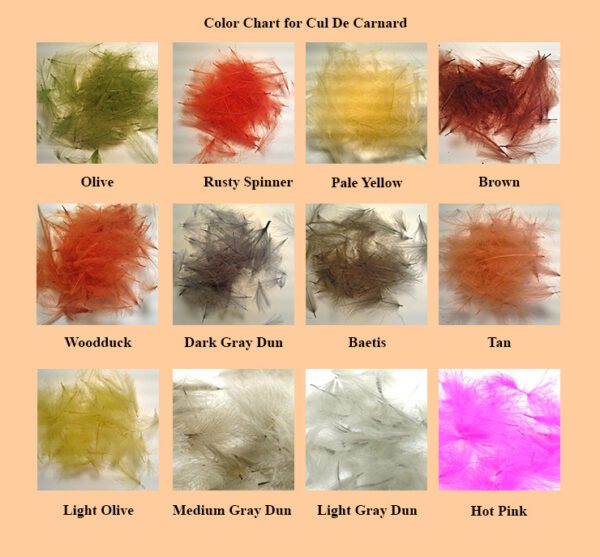 A color chart for colored feathers.