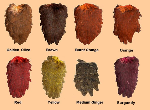 Whiting CDL Hen Saddles Colorchart