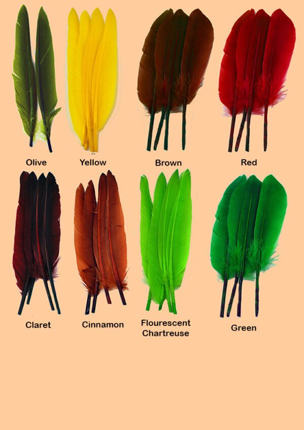 A bunch of different colors of feathers are on display.