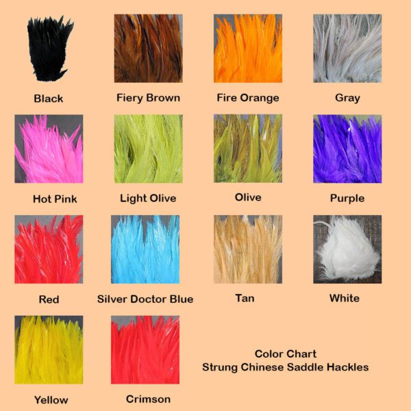 Color Chart Strung Chinese Saddle Hackle