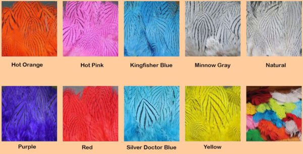 Color Chart Silver Pheasant Body Feathers