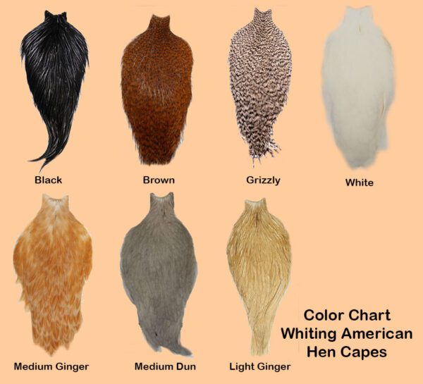 Whiting American Hen Cape Color Chart