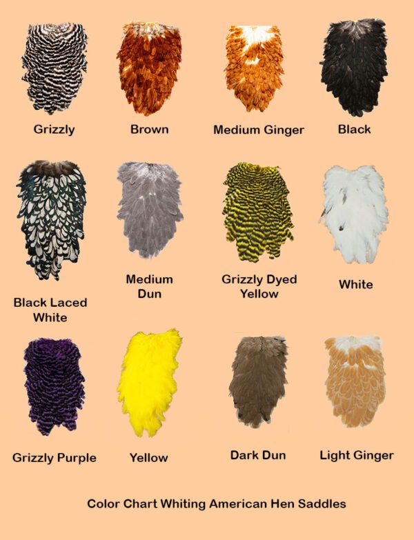 Color Chart Whiting American Hen Saddles