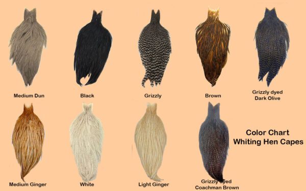 Color Chart Whiting Hen Capes