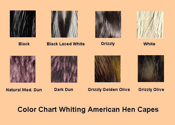 Whiting American Hen Capes Colorchart