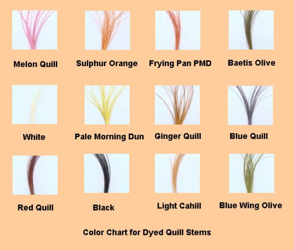 Dyed Quills Color Chart