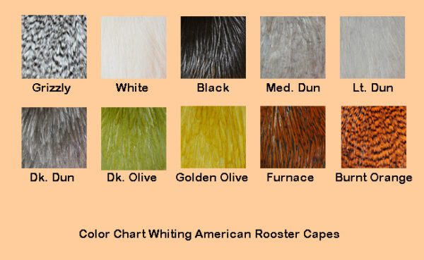 Whiting American Rooster Cape Colorchart