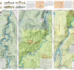 A map of the river with fish in it.
