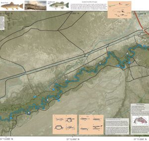 A map of the river with various locations and information.