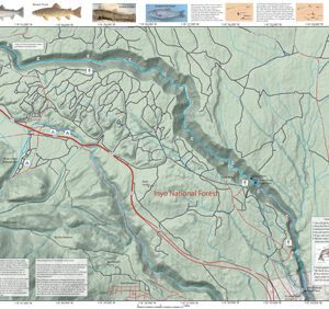 A map of the area with many different types of fish.