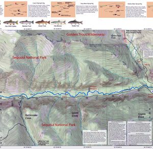 A map of the river with fish in it.