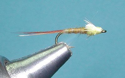Barr Emerger, PMD (Dry)