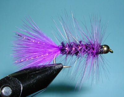 Woolly Bugger, Purple