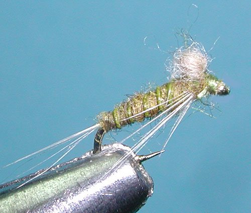 Floating Nymph BWO