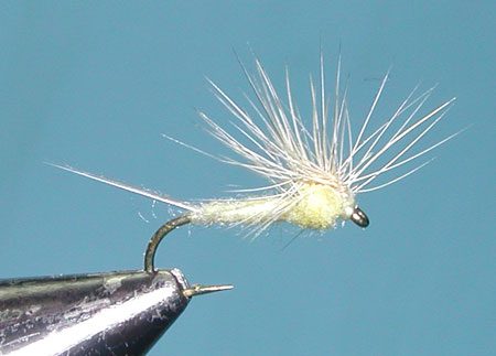 Hackle Stacker PMD