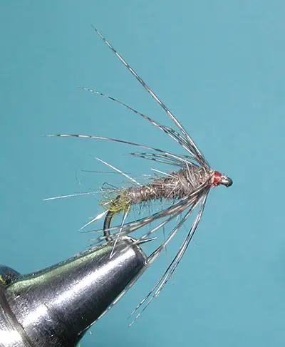 Green Butt Hare's Ear Soft Hackle