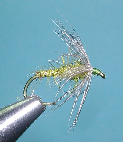 Hare's Ear Soft hackle, Olive