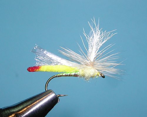 Headlight Sally | Fly Fishing the Sierra