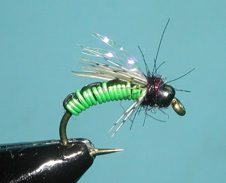 Chartreuse Hot Wire Caddis