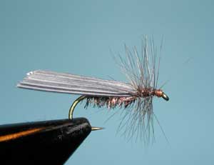 Olive Quill Wing Caddis
