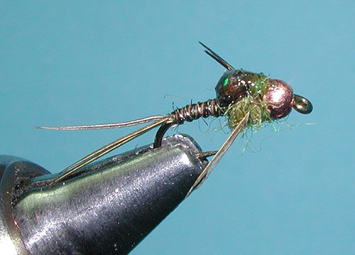 Micro Mayfly, Olive