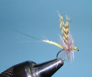 Extended Mayfly, PMD