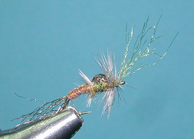 Poxyback Emerger Blue Wing Olive