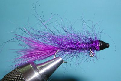 Balanced Leech, Purple