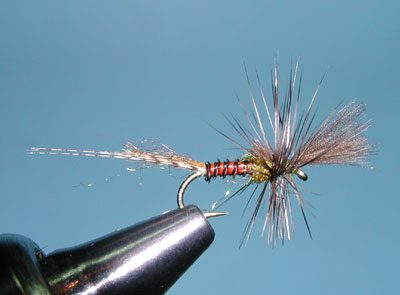 Quigley Cripple | Fly Fishing the Sierra