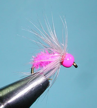 Firebead Ray Charles, Soft Hackle, Pink