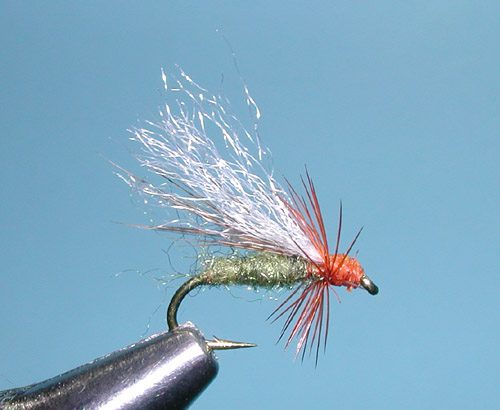 LaFontaine's Diving Caddis, Brown and Green