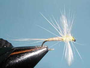 Pale Morning Dun Spinner Quill