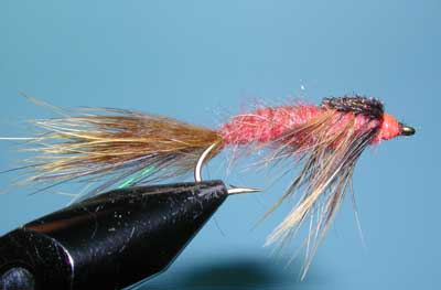 Clouser's Swimming Nymph