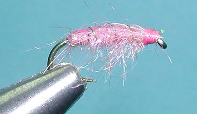 Tailwater Sowbug Pink