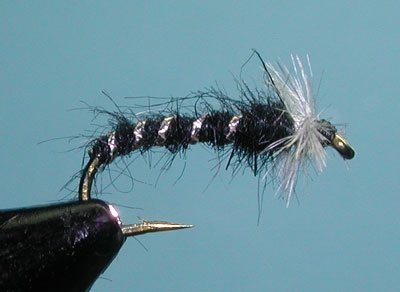 Thompson Delectable Chironomid