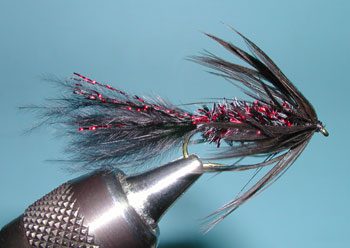 Twin Lake Special, Black